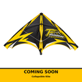 Collapsible Kite